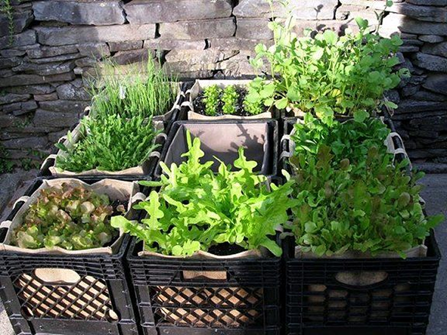 Unlock Your Garden Potential with Jezero Storage Crates