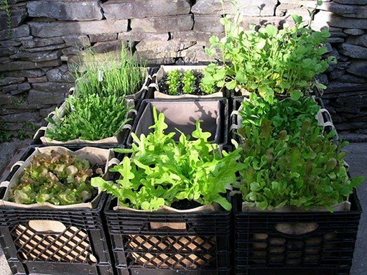 Unlock Your Garden Potential with Jezero Storage Crates